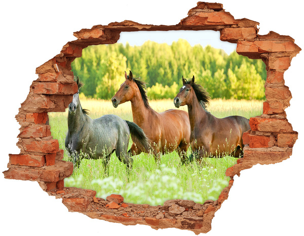 Vinyl muursticker 3D breekeffect Rennende paarden in de natuur
