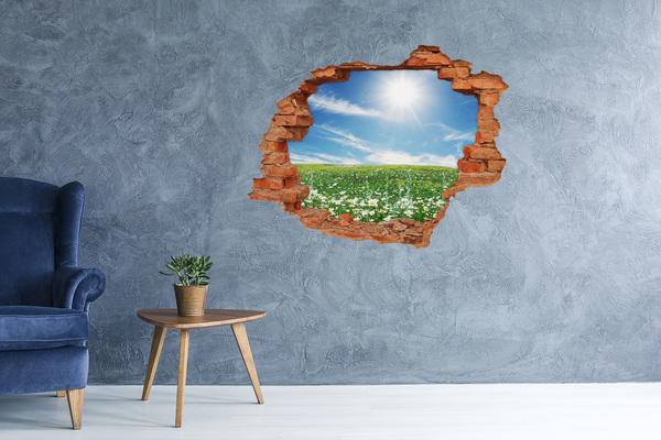 Grote 3D muursticker gat in de muur Een bloemenweide onder een blauwe hemel
