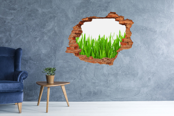Vinyl muursticker 3D breekeffect Groene weide door een gat in de muur