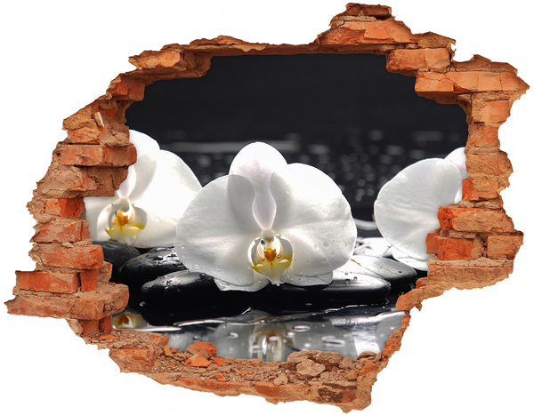 Grote 3D muursticker gat in de muur Orchideebloem op het water
