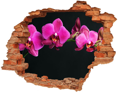 Grote 3D muursticker gat in de muur Orchidee door de muur