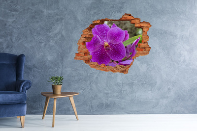 Vinyl muursticker 3D breekeffect Orchideebloem in een gat in de muur