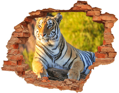 Grote 3D muursticker gat in de muur Tijger in zijn natuurlijke habitat