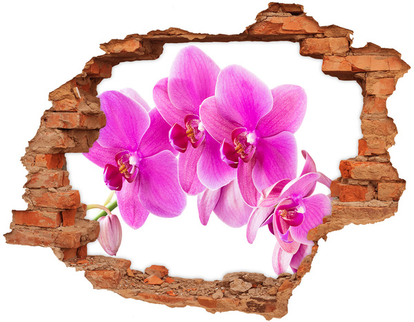 Grote 3D muursticker gat in de muur Orchideeën in een betonnen gat