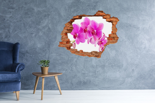 Grote 3D muursticker gat in de muur Orchideeën in een betonnen gat