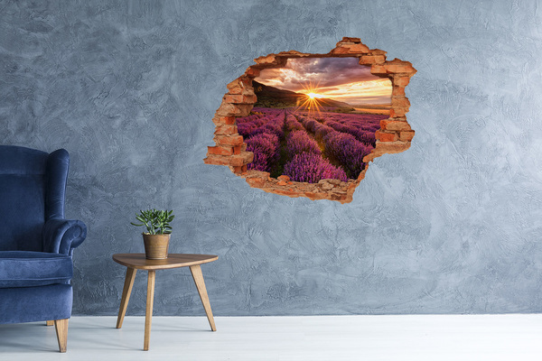 Grote 3D muursticker gat in de muur Lavendelveld bij zonsondergang