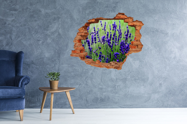 Grote 3D muursticker gat in de muur Lavendelbloemenweide