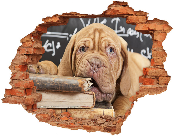 Grote 3D muursticker gat in de muur Een lief puppy tussen de boeken