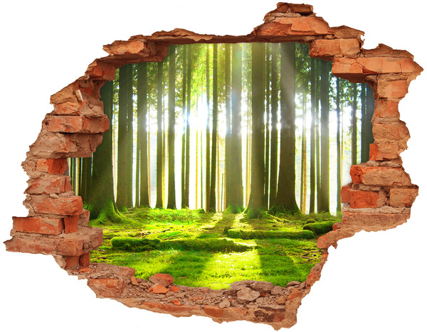Vinyl muursticker 3D breekeffect Groen bos met zonnestralen