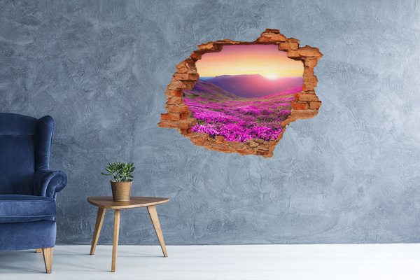 Grote 3D muursticker gat in de muur Bloemenvallei bij zonsondergang