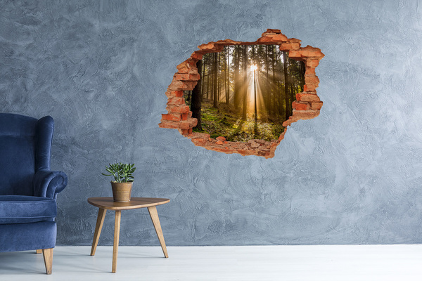 Vinyl muursticker 3D breekeffect Een oase van licht in het bos