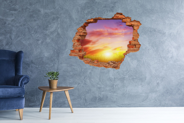 Grote 3D muursticker gat in de muur Zonsondergang boven de weide