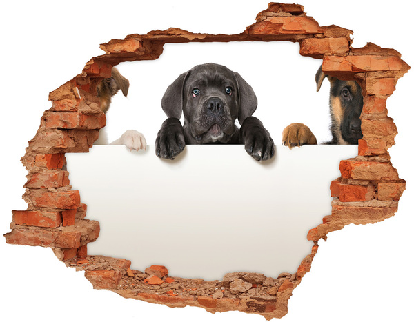 Vinyl muursticker 3D breekeffect Lief puppy'tje van achter de muur