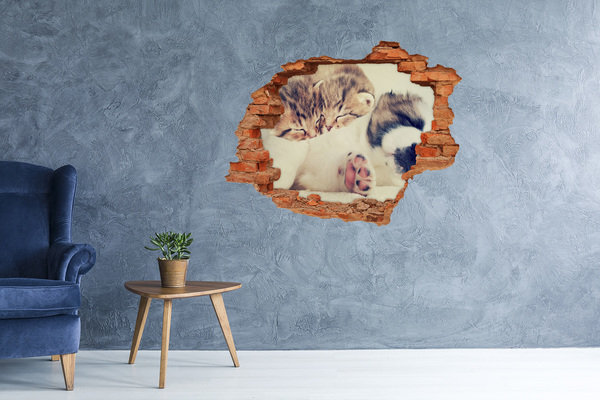 Grote 3D muursticker gat in de muur Schattige kittens in een gat in de muur