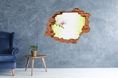 Fototapeta dziura na ścianę Kwiaty orchidei w ogrodzie bambusowym