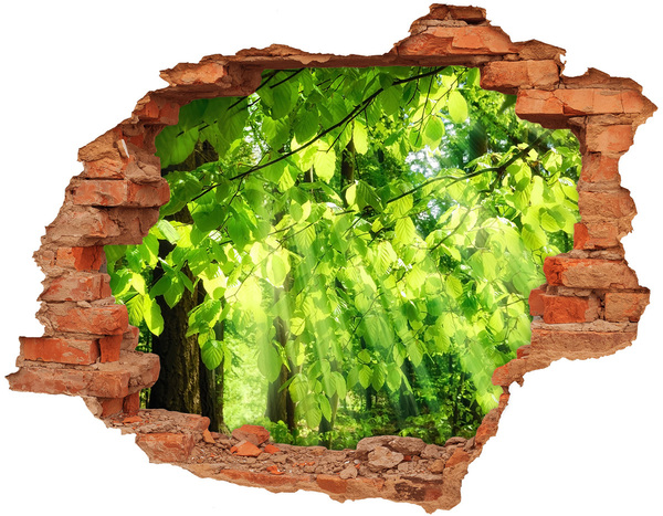 Vinyl muursticker 3D breekeffect Groen bos in de zonnestralen