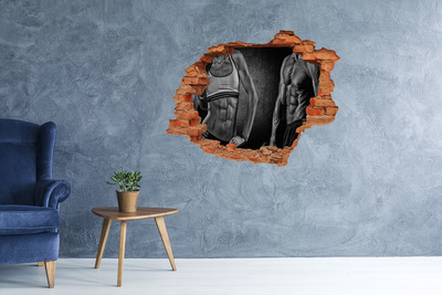 Foto zdjęcie dziura na ścianę Siła i determinacja