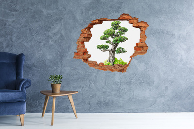 Samoprzylepna dziura na ścianę Bonsai w dziurze w ścianie