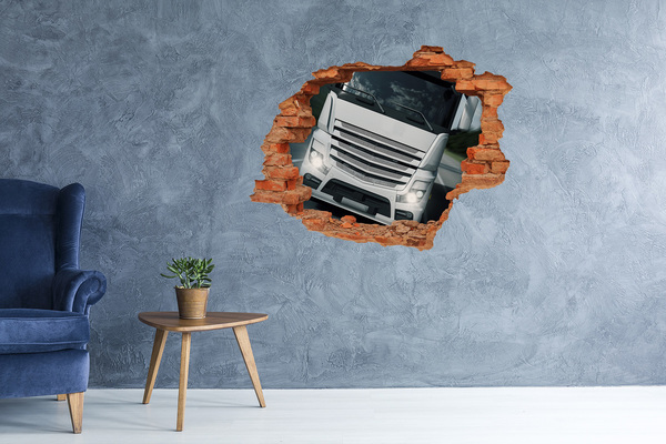 Grote 3D muursticker gat in de muur Zebra in de muur