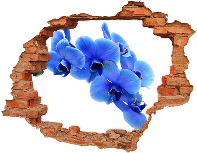 Samoprzylepna dziura naklejka Kwiaty orchidei w dziurze w ścianie