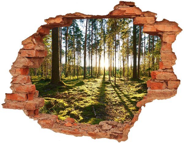 Grote 3D muursticker gat in de muur Bergpanorama met een meer