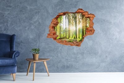 Vinyl muursticker 3D breekeffect Gat in de muur Bloemenpatroon