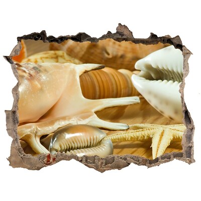 deur sticker Zeeschatten