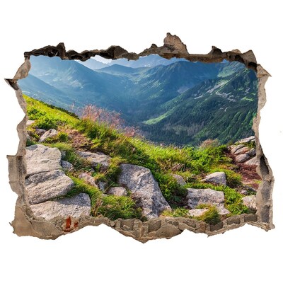 Fototapeta dziura na ścianę Widok górski z doliną