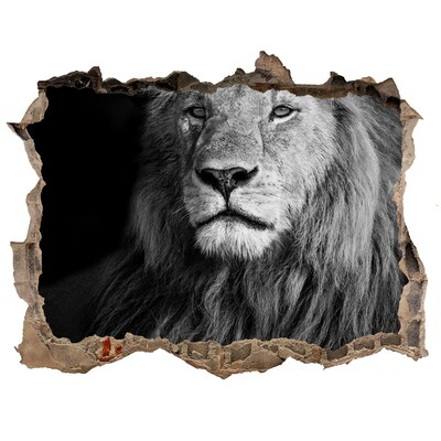 Dziura 3d fototapeta naklejka Lew w dziurze w ścianie