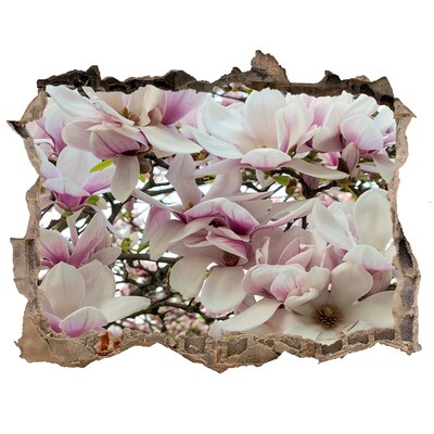 deur sticker Magnolia Bloemenparadijs