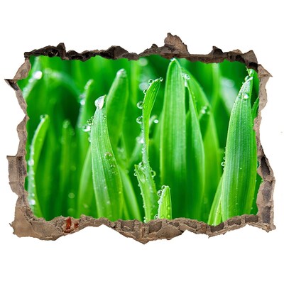 ikea duktig stickers Groene weide met waterdruppels