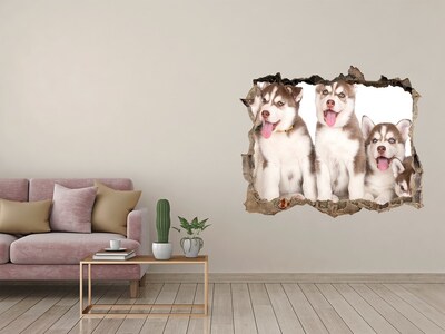 Dziura 3d fototapeta naklejka Szczenięta husky za dziurą w ścianie