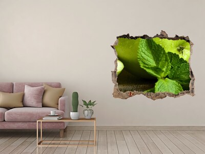 Wandsticker 3D gat met uitzicht Groene appel met munt
