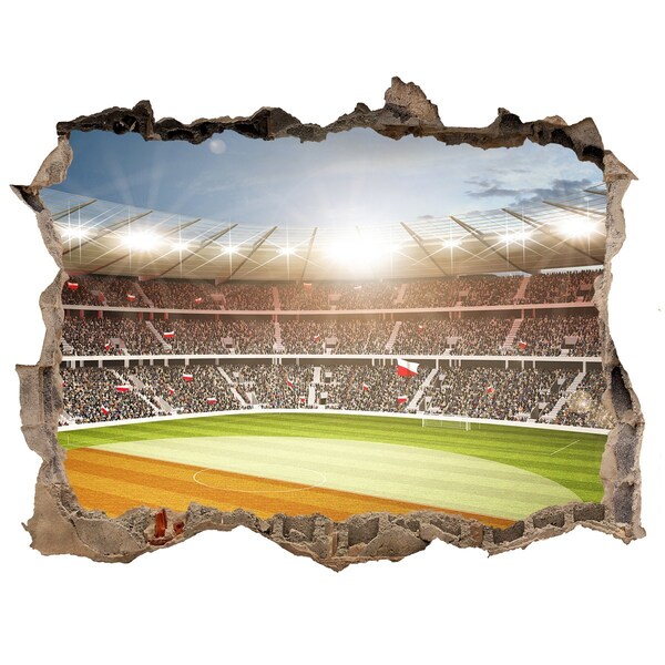 Fototapeta dziura na ścianę 3d Stadion w akcji