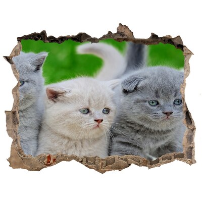 deur sticker Kittens in een gat in de muur