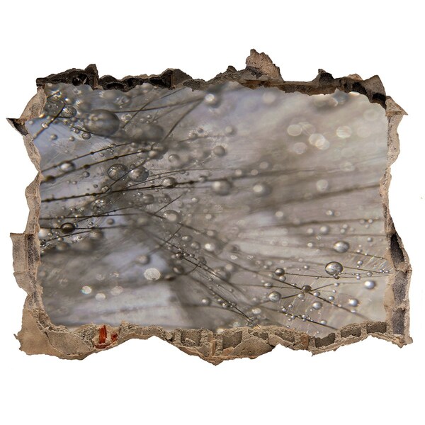 Zelfklevende muursticker 3D gat Waterdruppels op glas