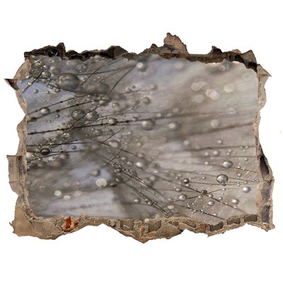 deursticker Waterdruppels op glas