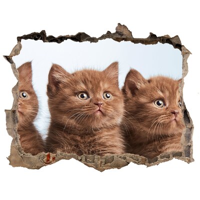 Zelfklevende 3D wandsticker illusie Kittens achter de muur