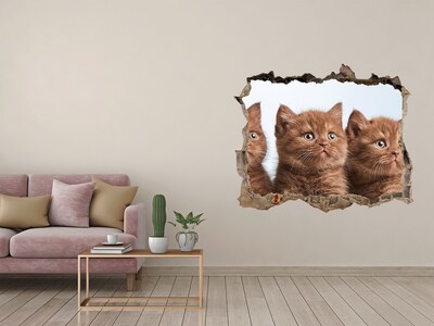 Zelfklevende 3D wandsticker illusie Kittens achter de muur