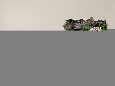 Fototapeta dziura na ścianę Tygrys w naturalnym środowisku