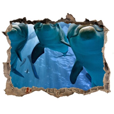 Dziura 3d fototapeta na ścianę Podwodny świat z delfinami