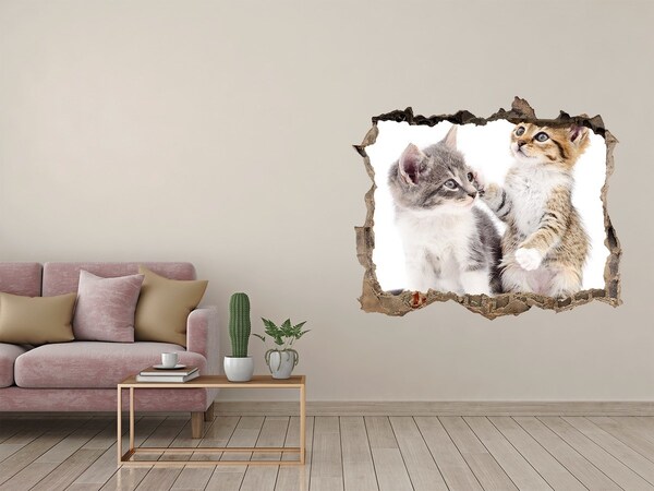 Wandsticker 3D gat met uitzicht De kattenwereld achter de muur