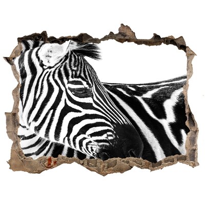 Dziura 3d fototapeta naklejka Zebra w dziurze w ścianie