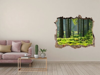 Zelfklevende 3D wandsticker illusie Groen bos in de zonnestralen