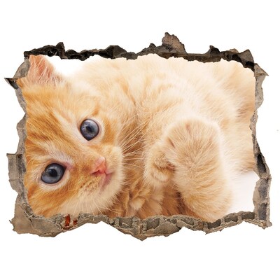 Zelfklevende muursticker 3D gat Kat in een gat in de muur