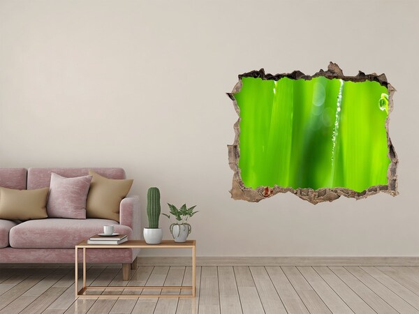 Wandsticker 3D gat met uitzicht Groene weide met waterdruppels