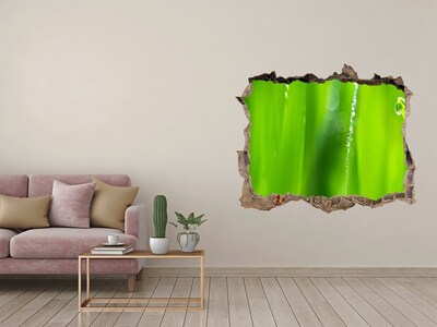 Wandsticker 3D gat met uitzicht Groene weide met waterdruppels