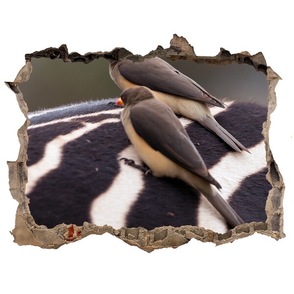 Dziura 3d fototapeta naklejka Ptaki na grzbiecie zebry