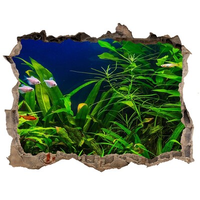 Zelfklevende 3D wandsticker illusie De onderwaterwereld in het aquarium