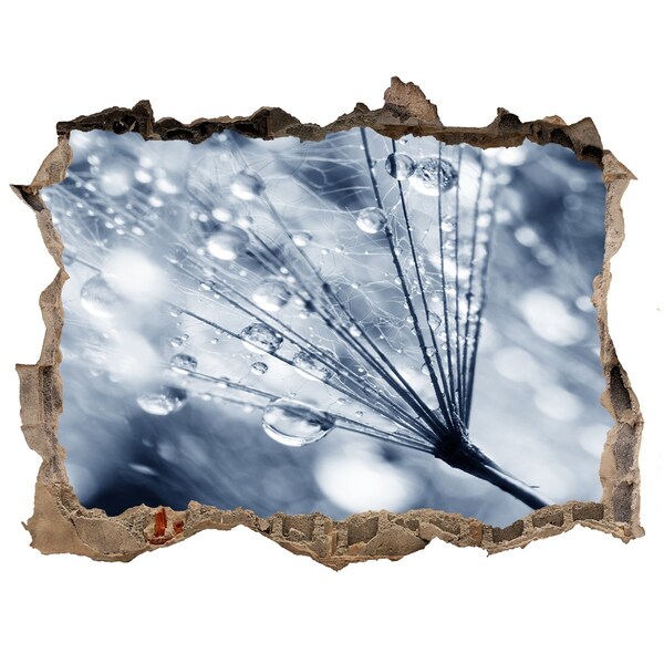 Zelfklevende 3D wandsticker illusie Dauwdruppels op een paardenbloem